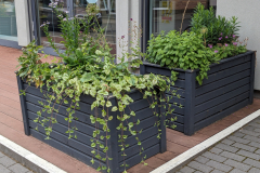 20240528-Beete-vor-MVB-1
