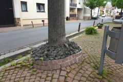 IMG-20210607-WA0003