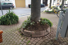 IMG-20210607-WA0012