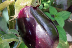 image-5