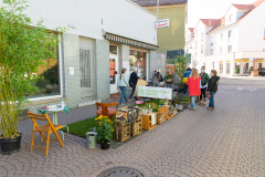 CEM_3952
