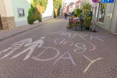 CEM_3957