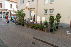CEM_3961
