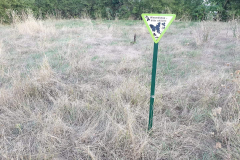wp-1613511042147
